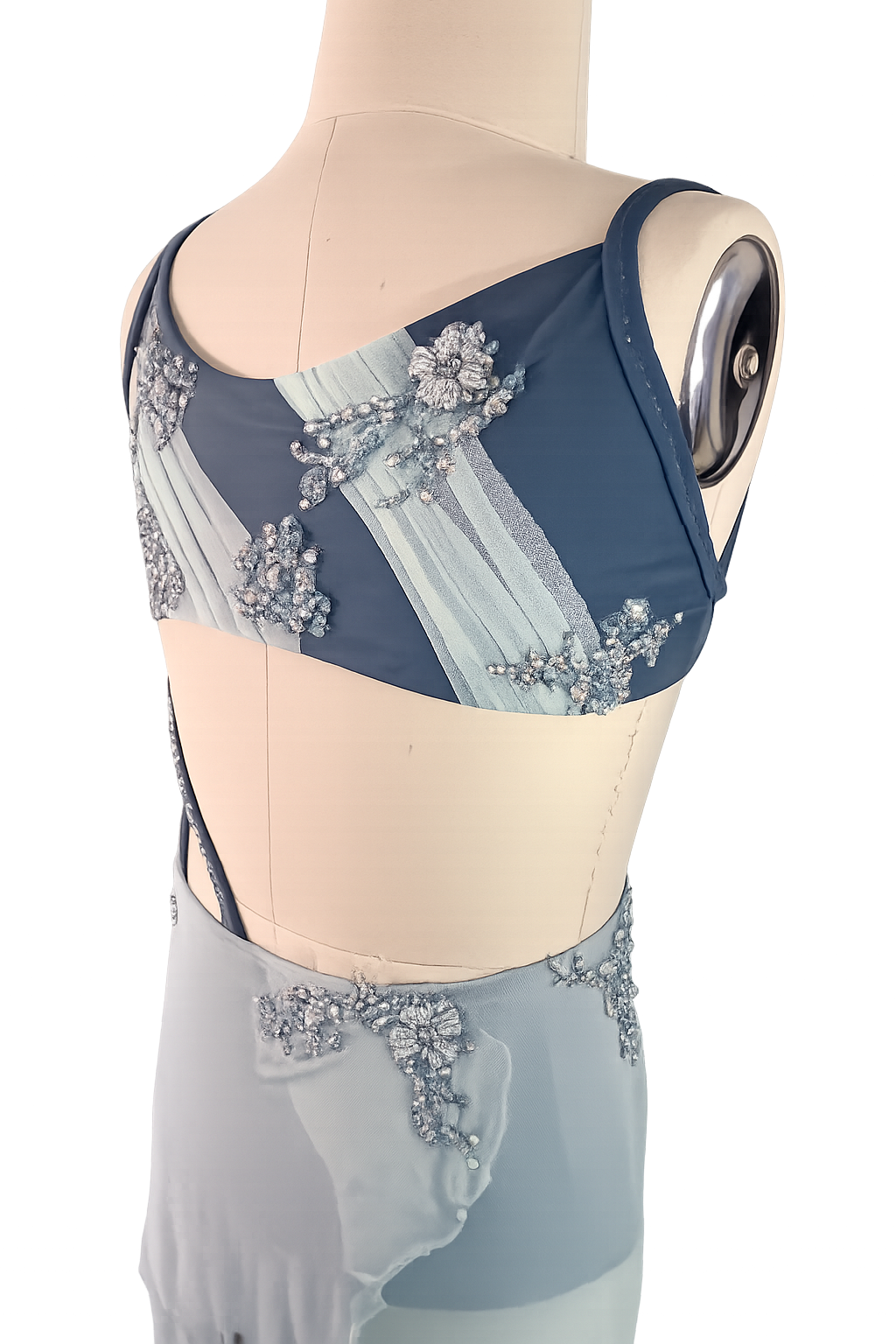 Winter Sky Lyrical Costume