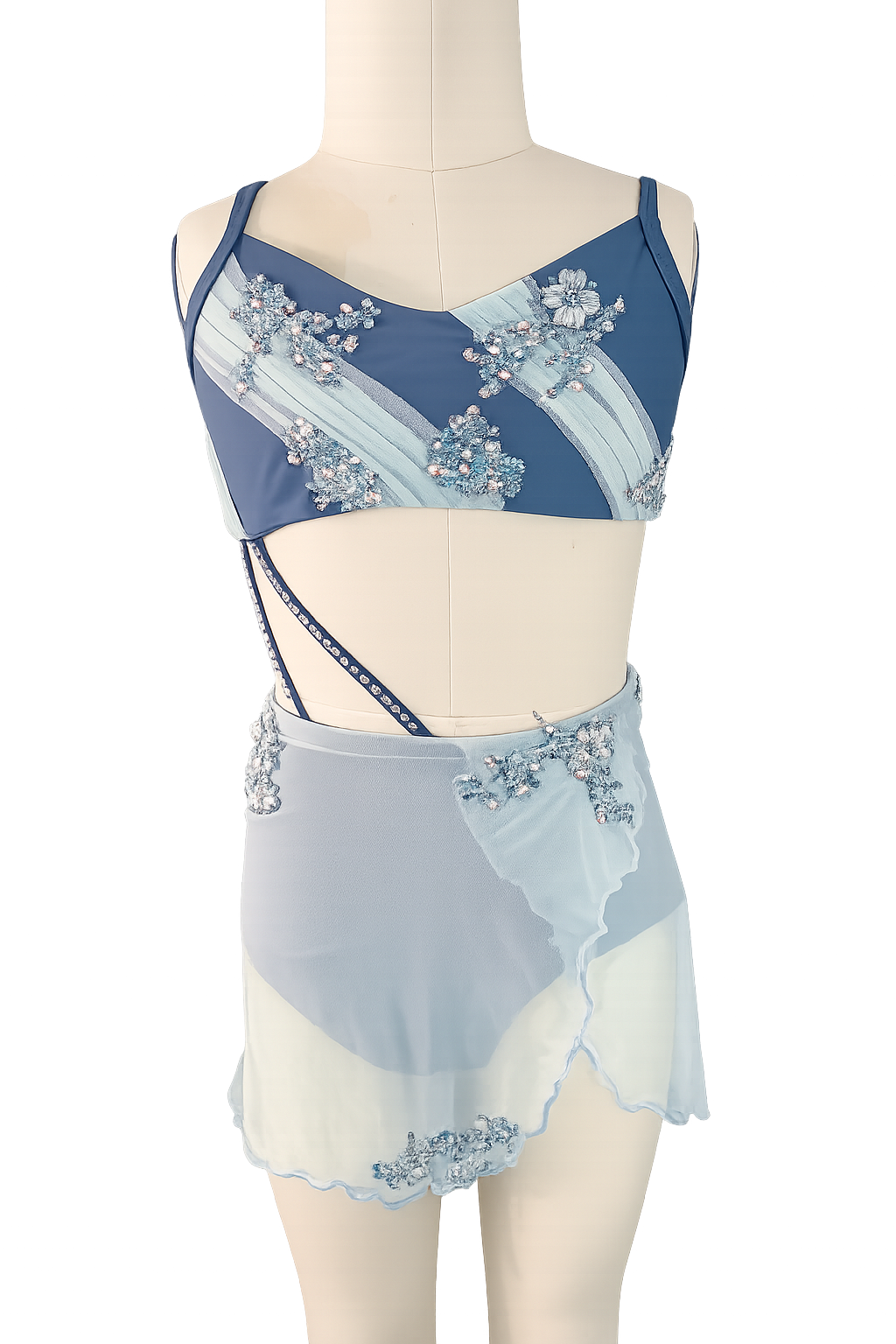 Winter Sky Lyrical Costume